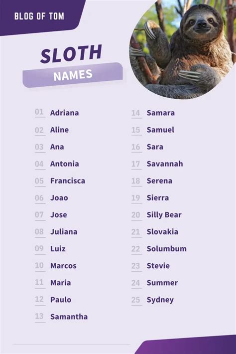 good sloth names beginning with s